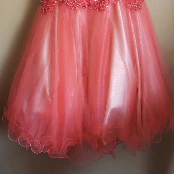 Coral Dress with matching Evening Purse - Picture 4 of 9